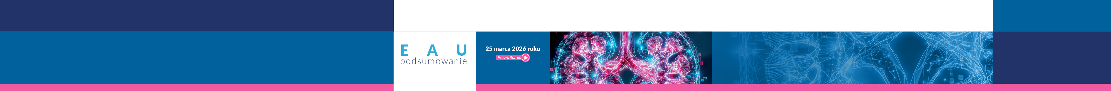 Webinar - EAU podsumowanie 2026